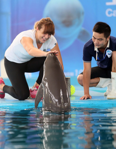 在预赛中 在预赛中